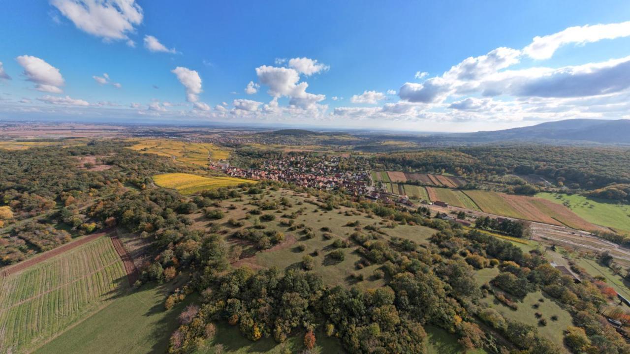 Gite Le Petit Moulin Rosenwiller Экстерьер фото