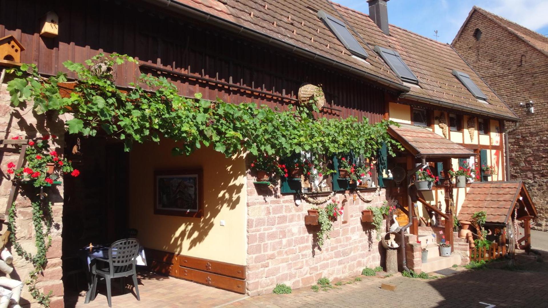 Gite Le Petit Moulin Rosenwiller Экстерьер фото