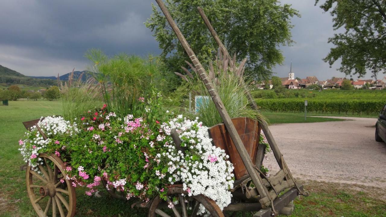 Gite Le Petit Moulin Rosenwiller Экстерьер фото