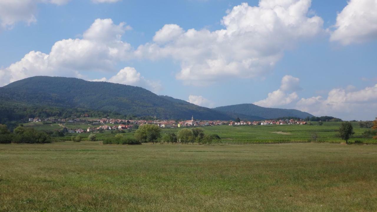 Gite Le Petit Moulin Rosenwiller Экстерьер фото
