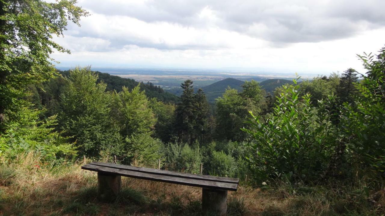 Gite Le Petit Moulin Rosenwiller Экстерьер фото