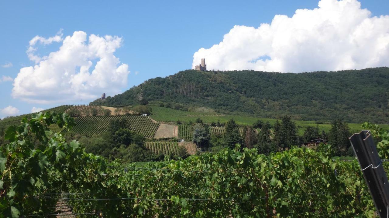 Gite Le Petit Moulin Rosenwiller Экстерьер фото
